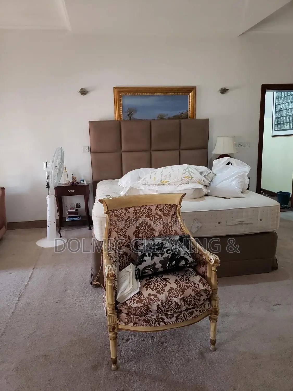 Furniture and Upholstery Cleaning