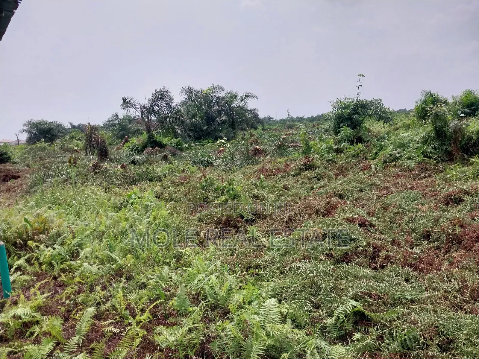 60ft by 120ft Full Plot Ijegun Festac Link