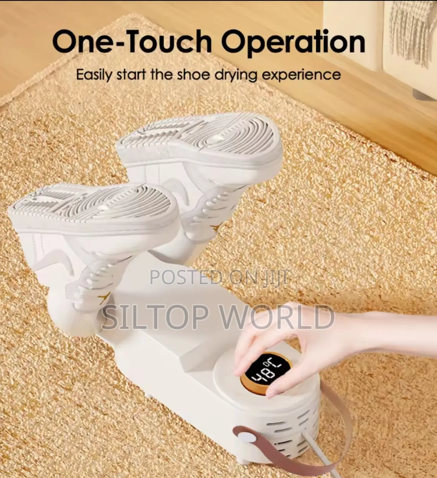 Electric Shoe Dryer