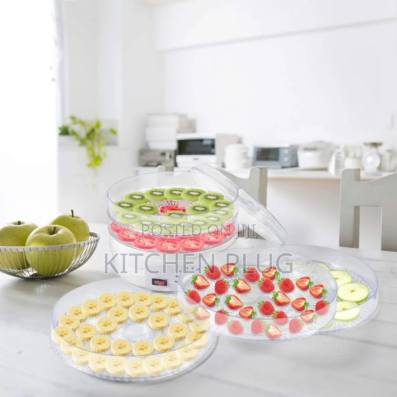 5 Trays Food Hydrator