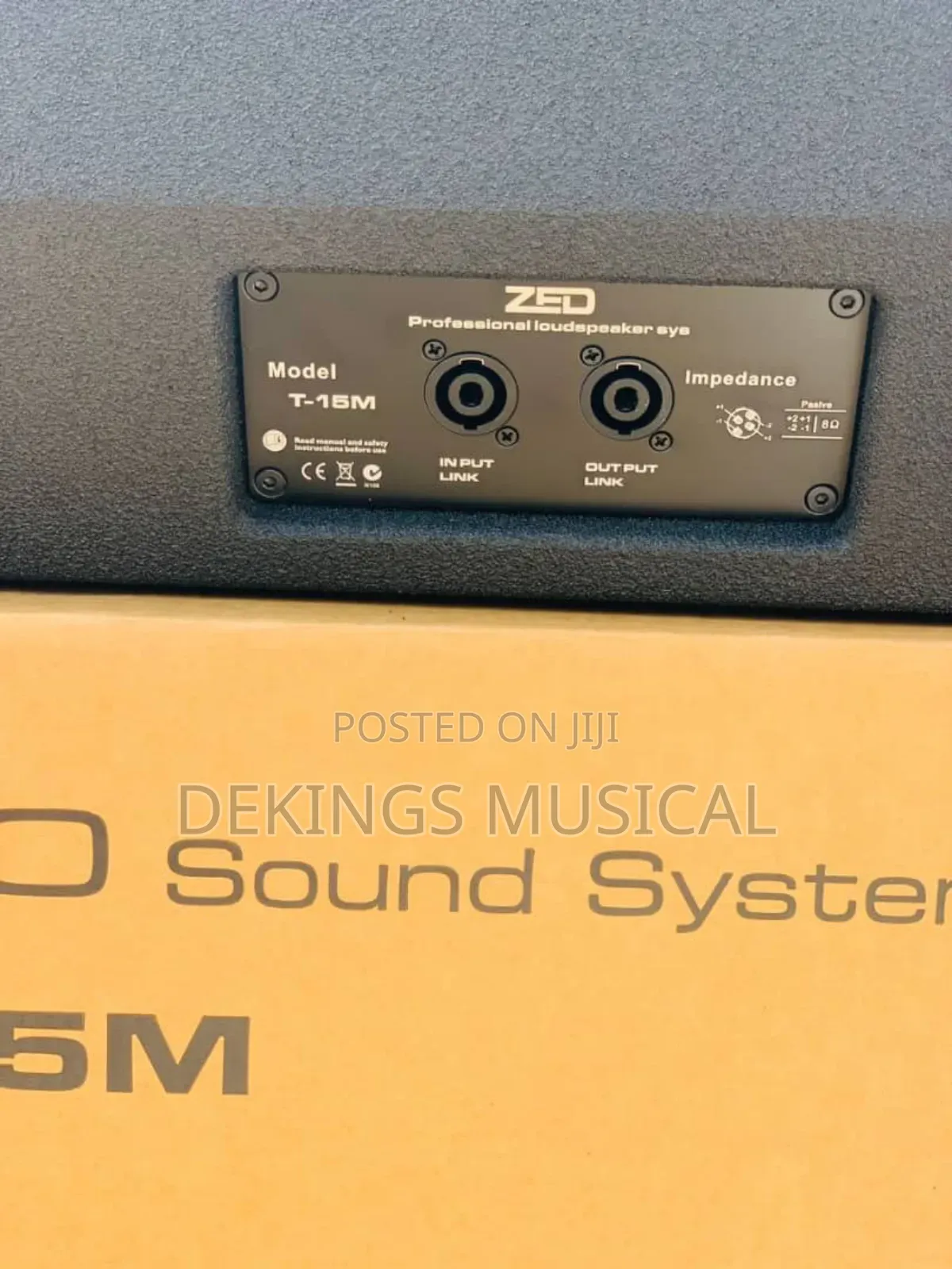 Zed T-15m Stage Floor Monitor Speaker 15 Inches