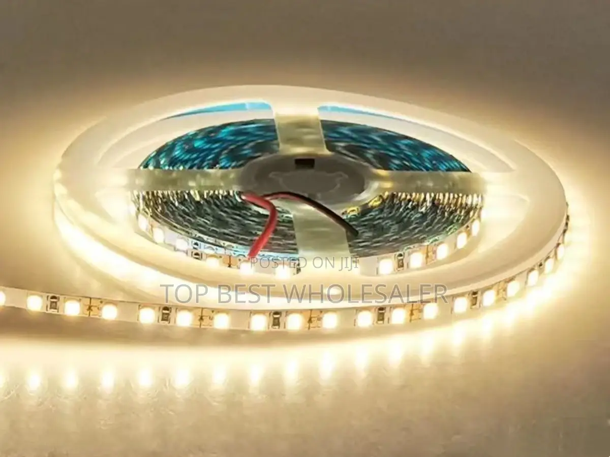 Warm White SMD LED Strip Light 24v/8mm 120 Leds Lights
