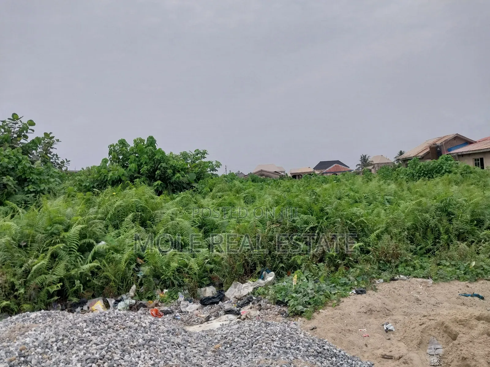 Full Plot 50ft by 100ft Ijegun Last Bustop
