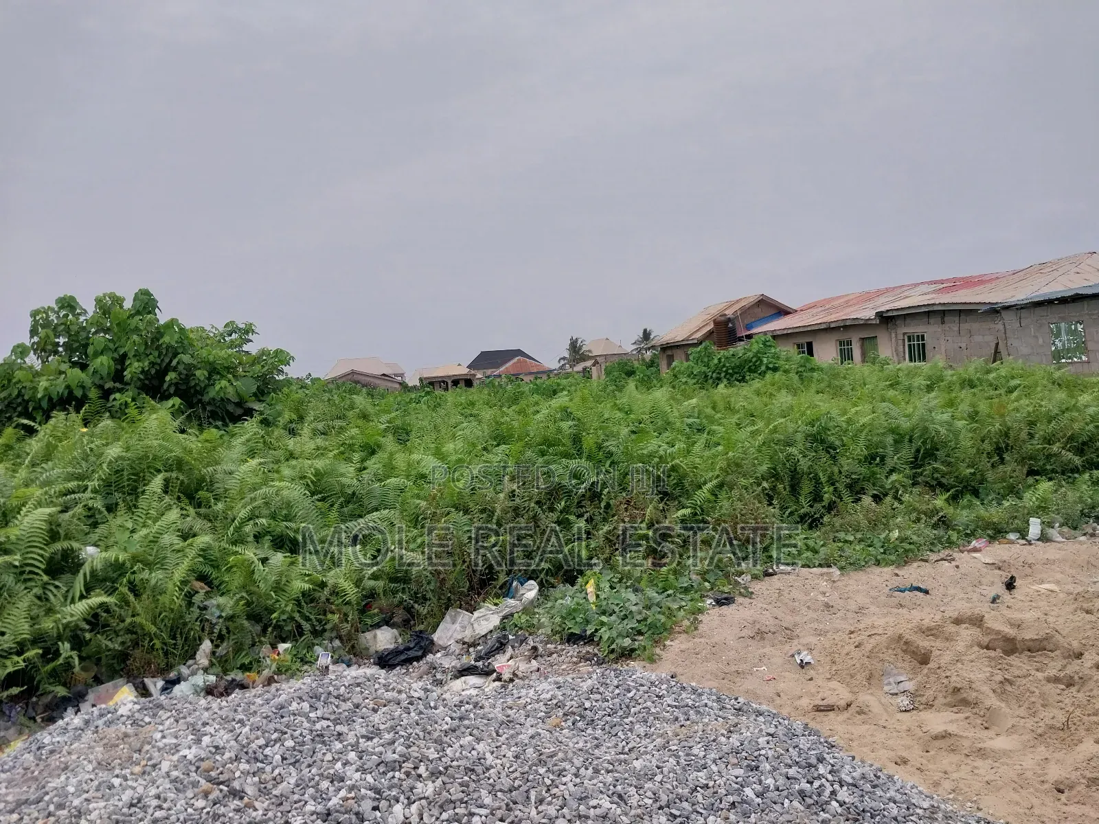 Full Plot 50ft by 100ft Ijegun Last Bustop