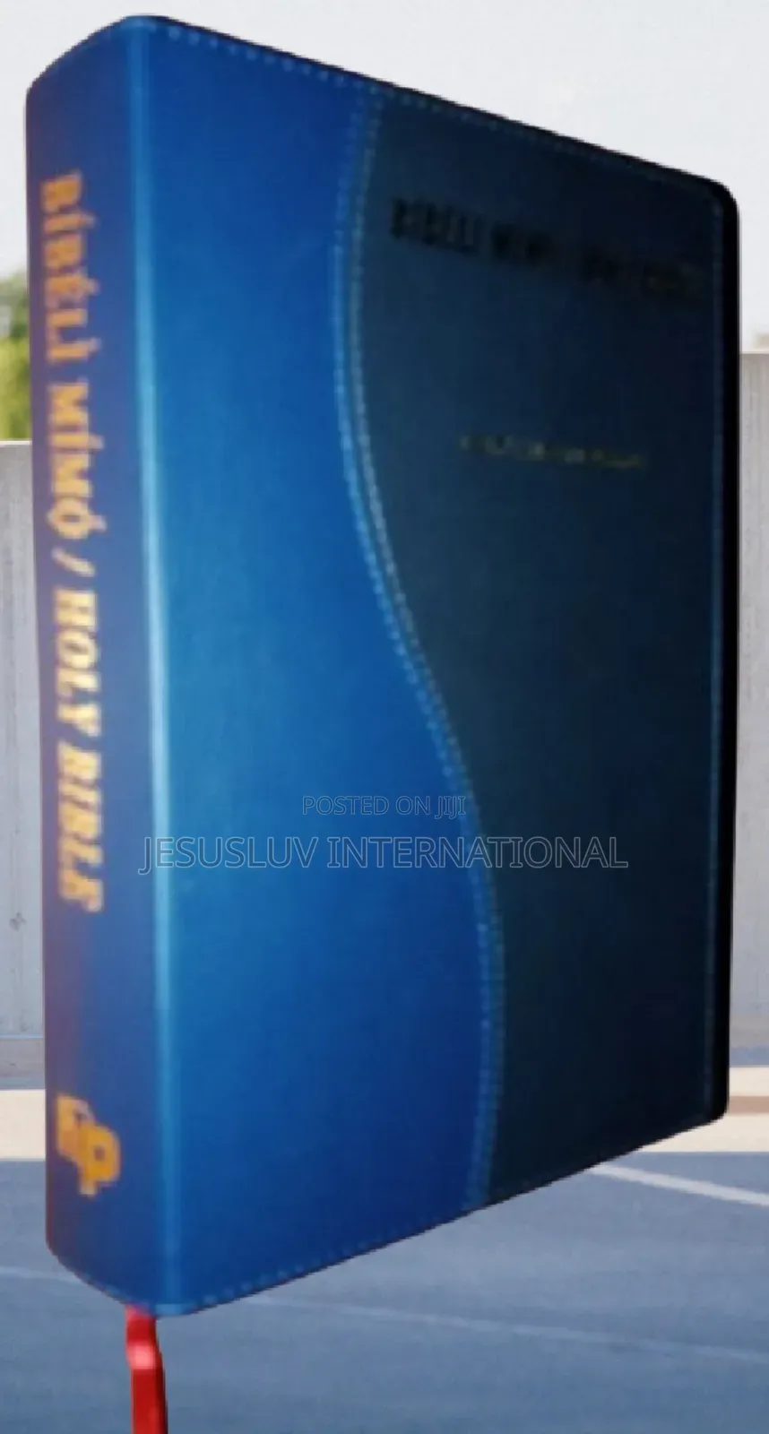 Giant Print Holy Bible Yoruba English (KJV) Side-by-Side