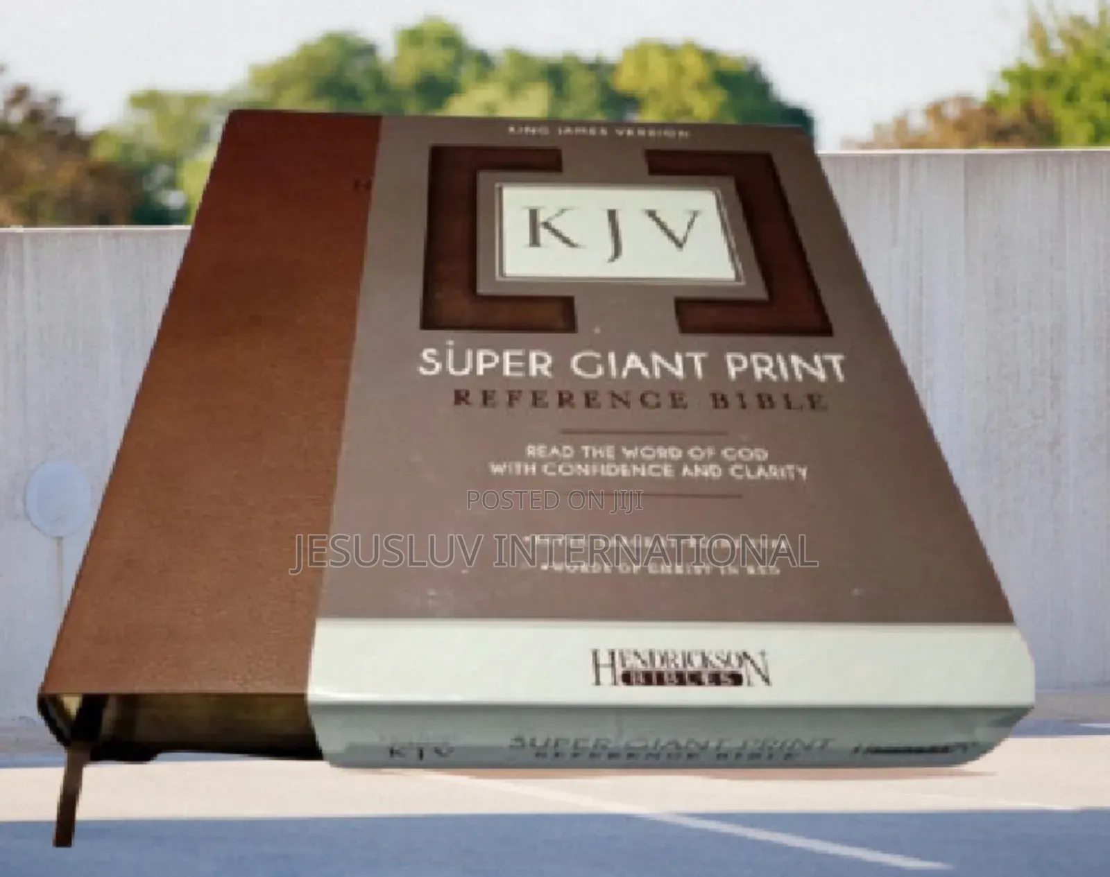 Holy Bible (KJV) Super Giant Print Reference Bible, Leather