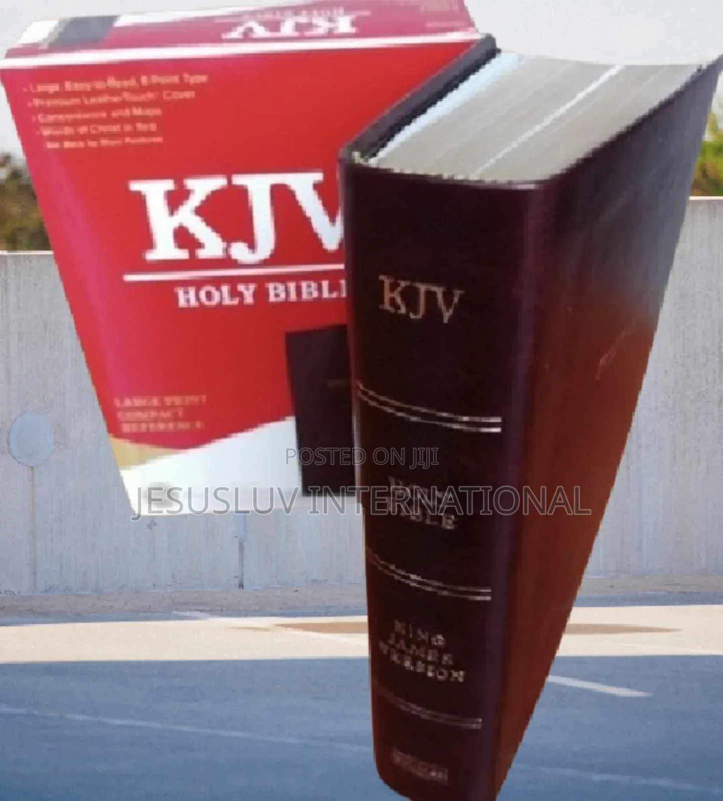 Holy Bible (KJV) Large Print Compact Reference Bible