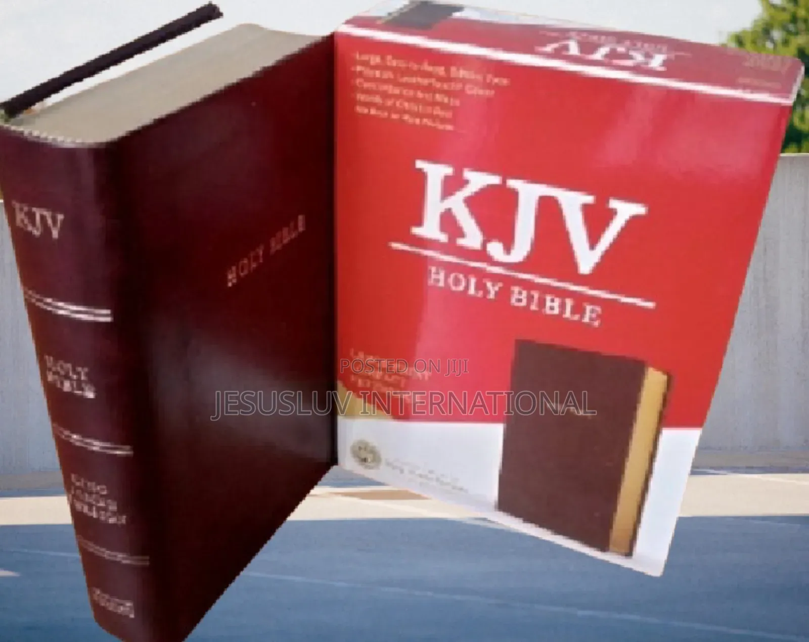 Holy Bible (KJV) Large Print Compact Reference Bible