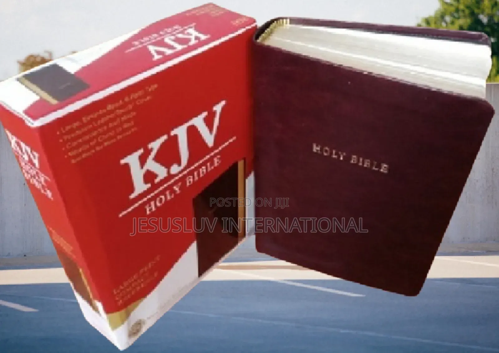 Holy Bible (KJV) Large Print Compact Reference Bible