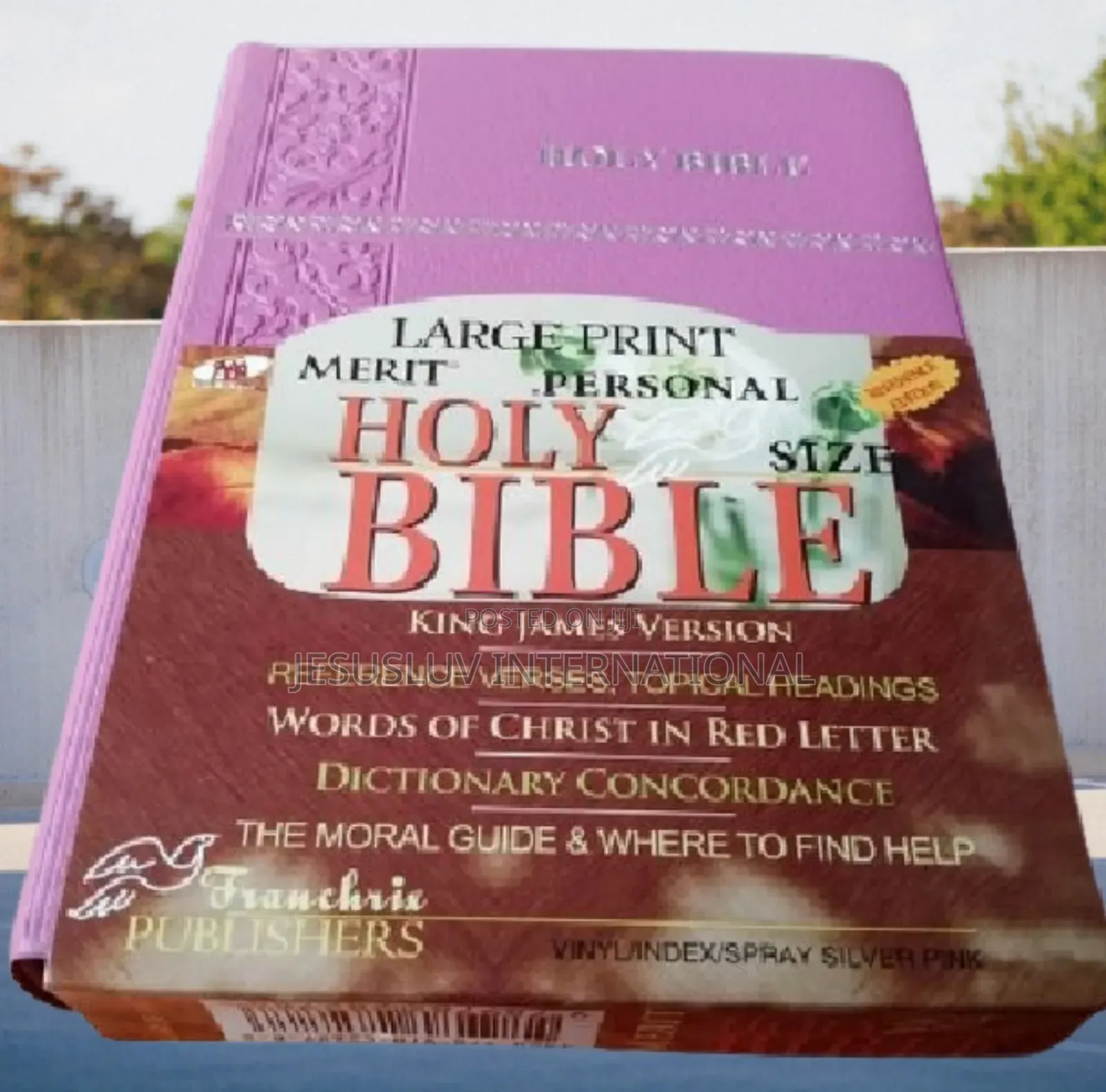 Holy Bible KJV Large Print Merit Reference Pink Leathersoft