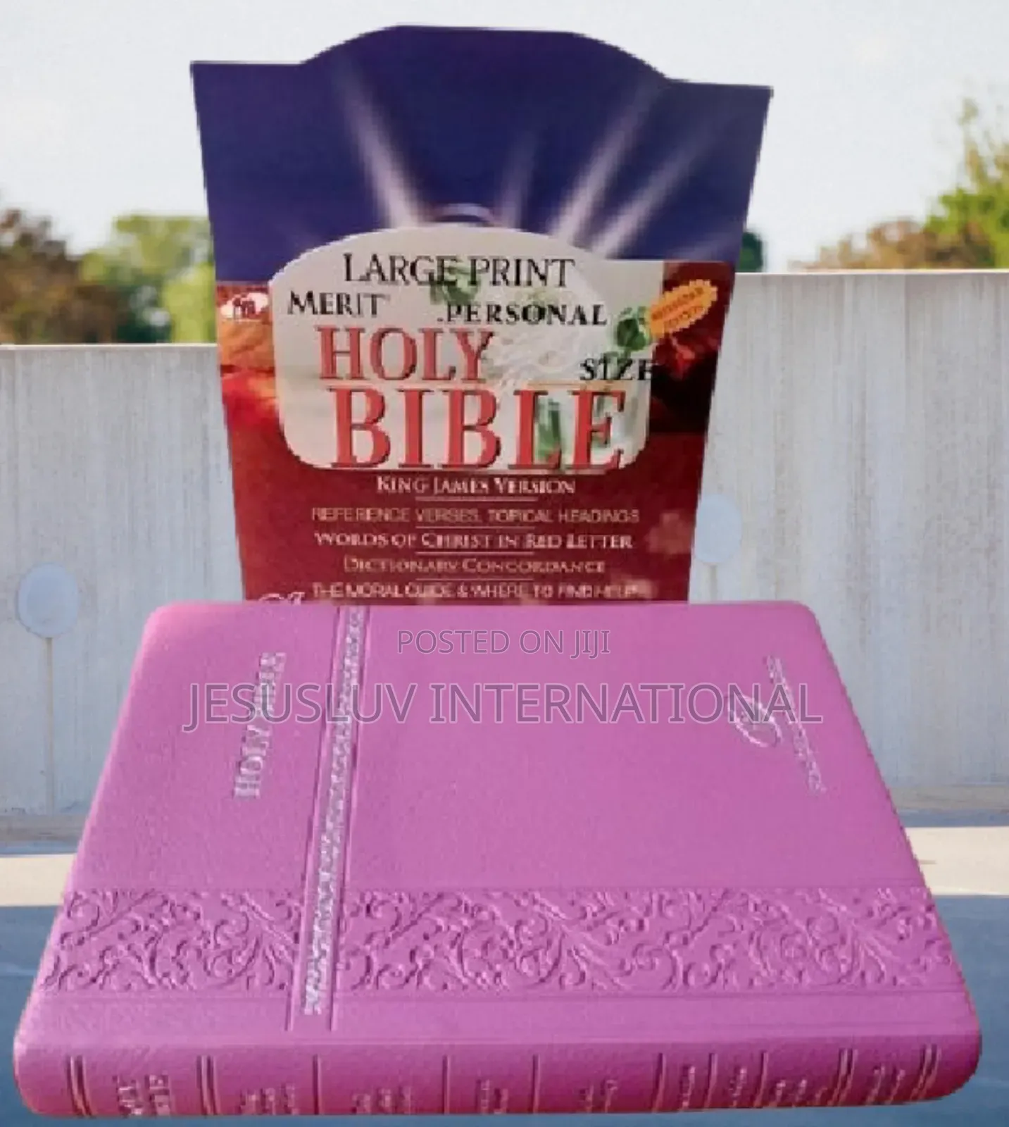 Holy Bible KJV Large Print Merit Reference Pink Leathersoft