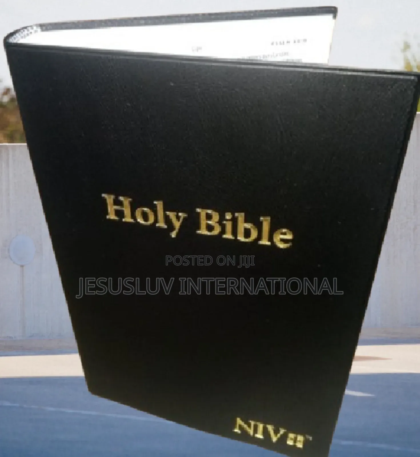 Niv Holy Bible -Words of Christ in Red,Bible Guide (Leather)