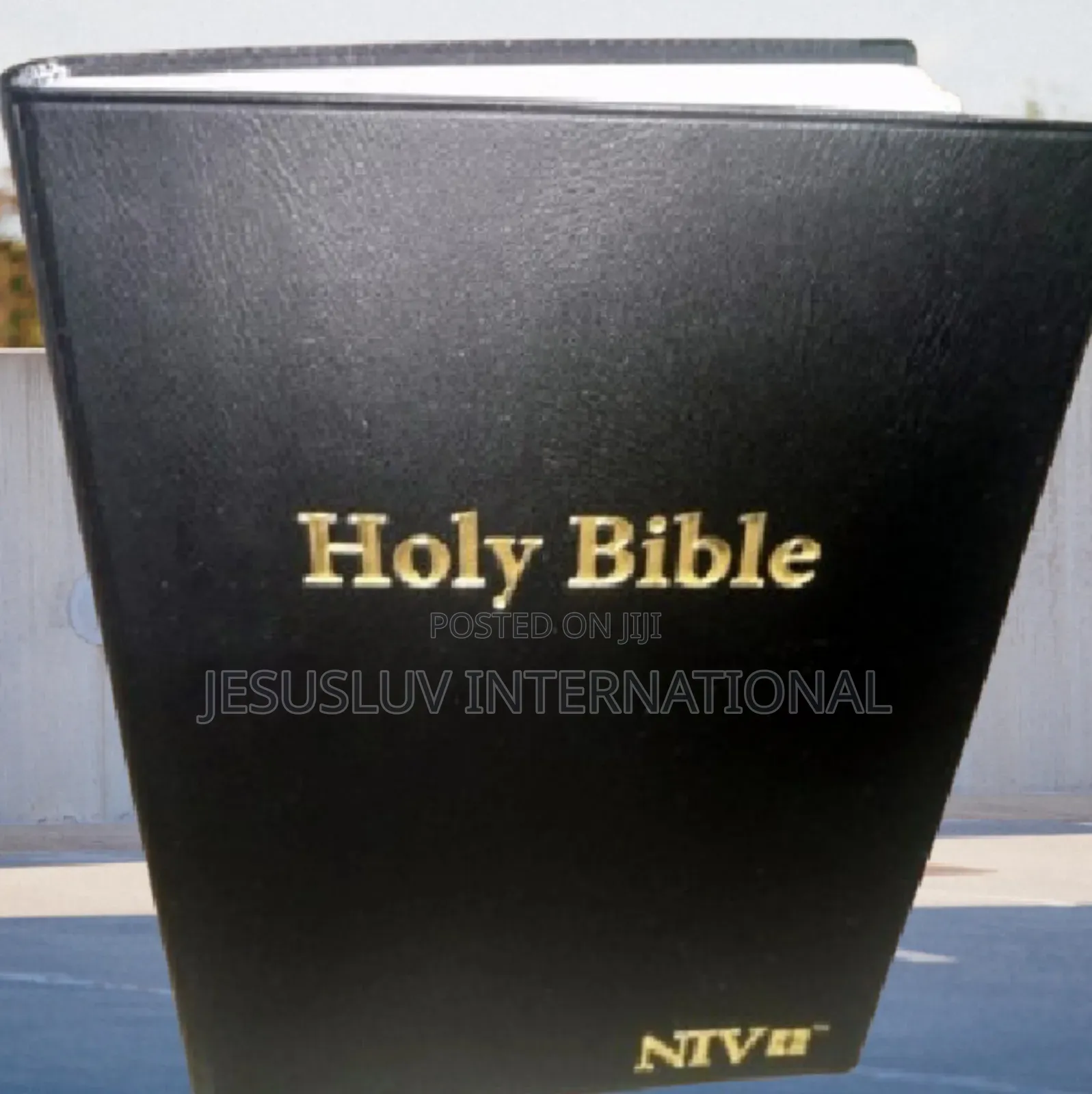 Niv Holy Bible -Words of Christ in Red,Bible Guide (Leather)