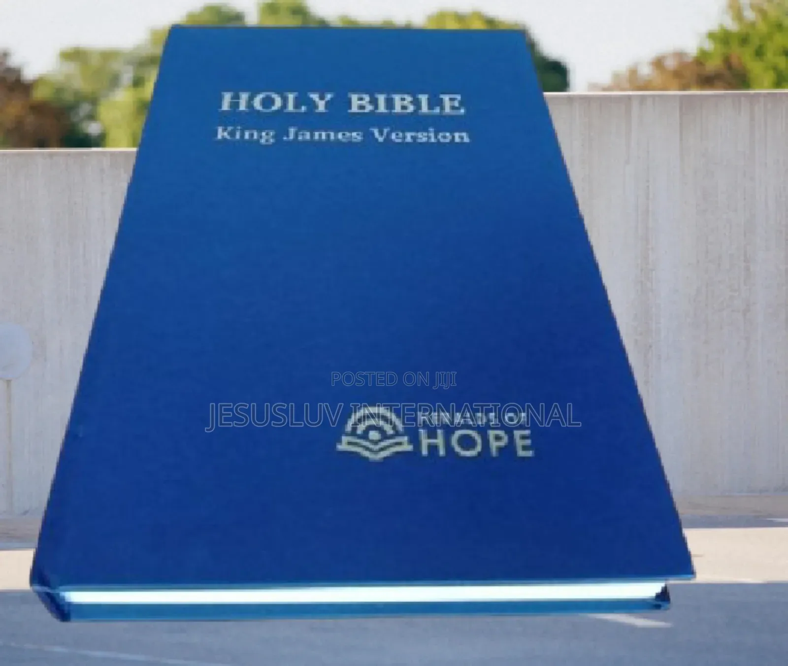 Holy Bible KJV Giant Print,Hardcover by Heralds of Hope,Usa