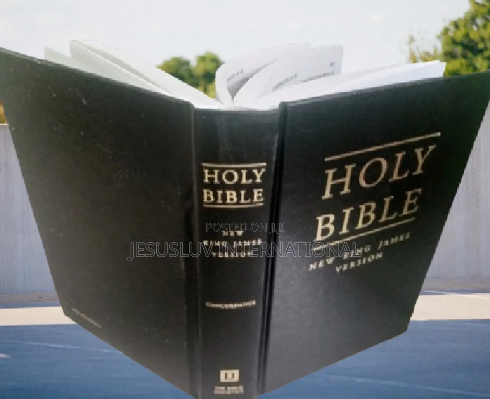 NKJV Holy Bible With Concordance / Dictionary (Hardcover)