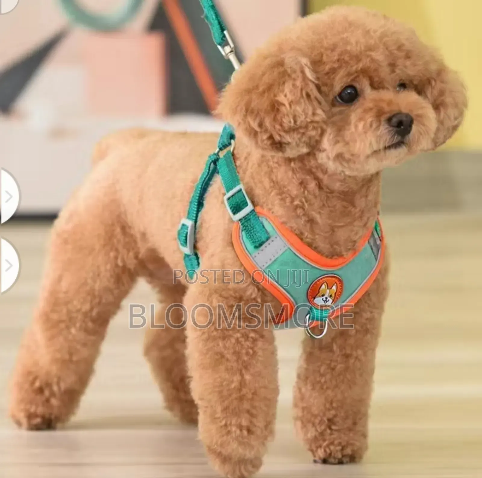 Dog Harness in Lagos
