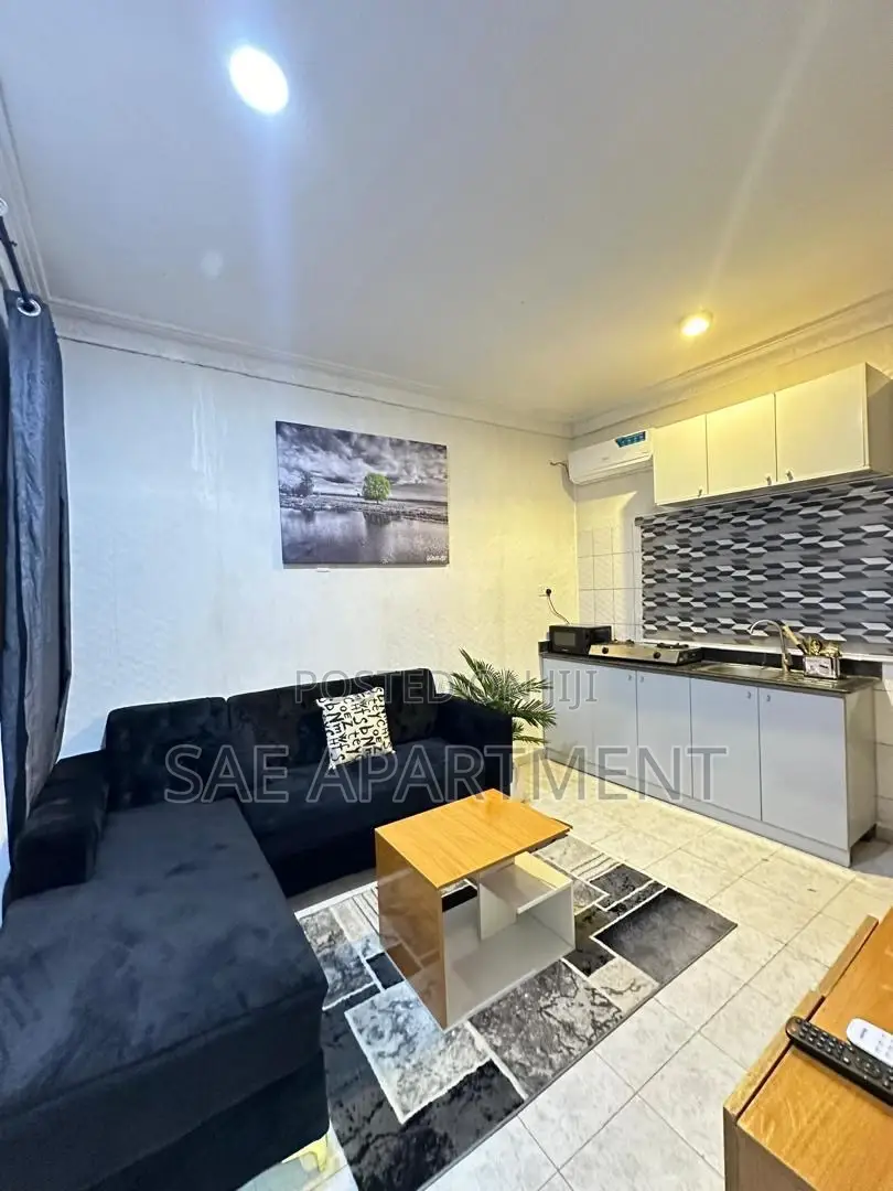 Monthly One Bedroom, Wuse 2 Abuja