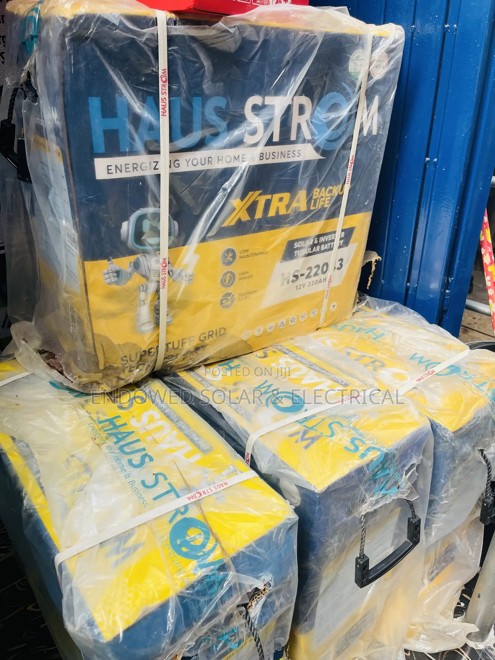 220ah 12v Haus-Strom Tall Tubular Batteries Are Available
