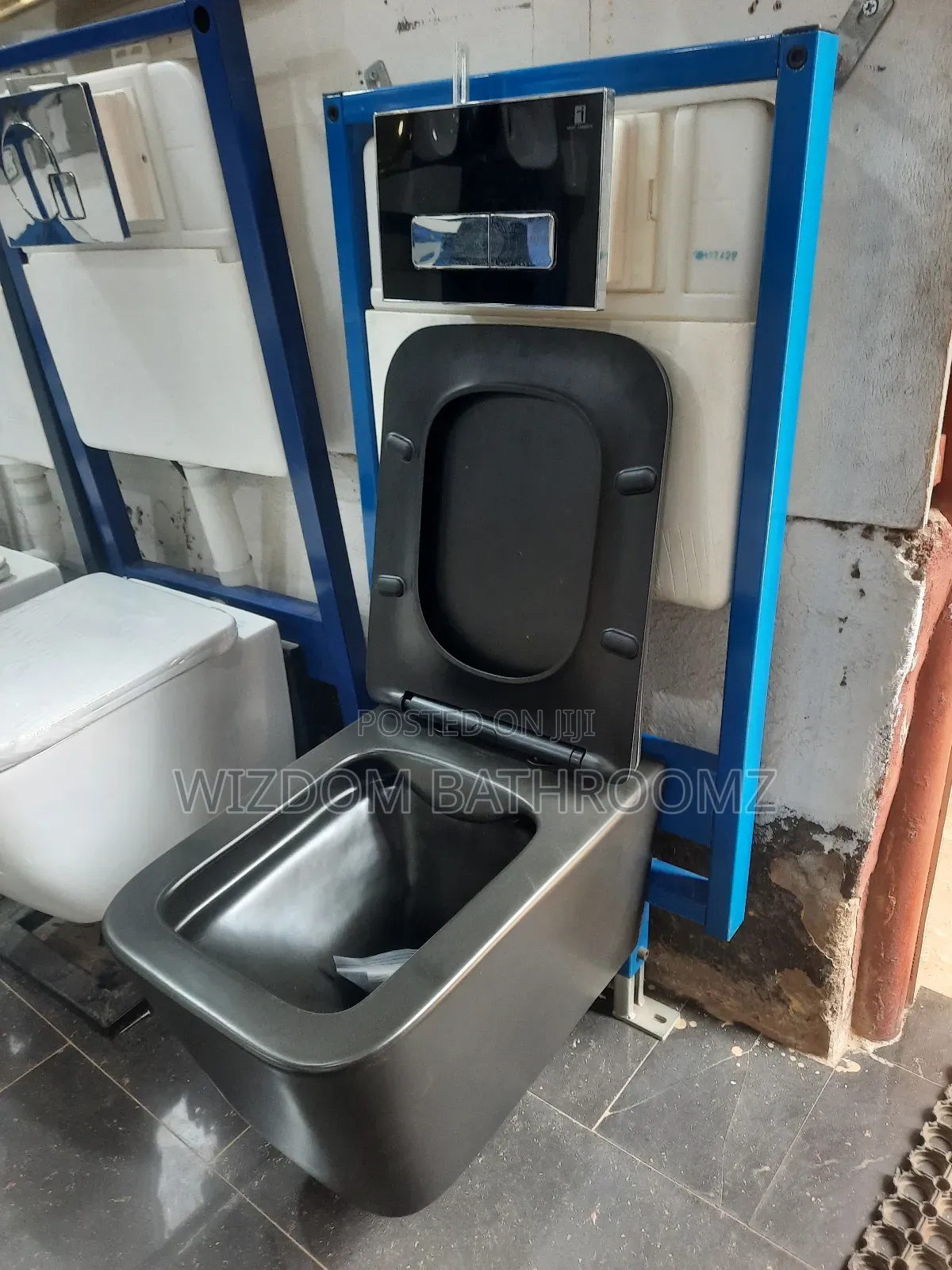 Black Concealed Wc