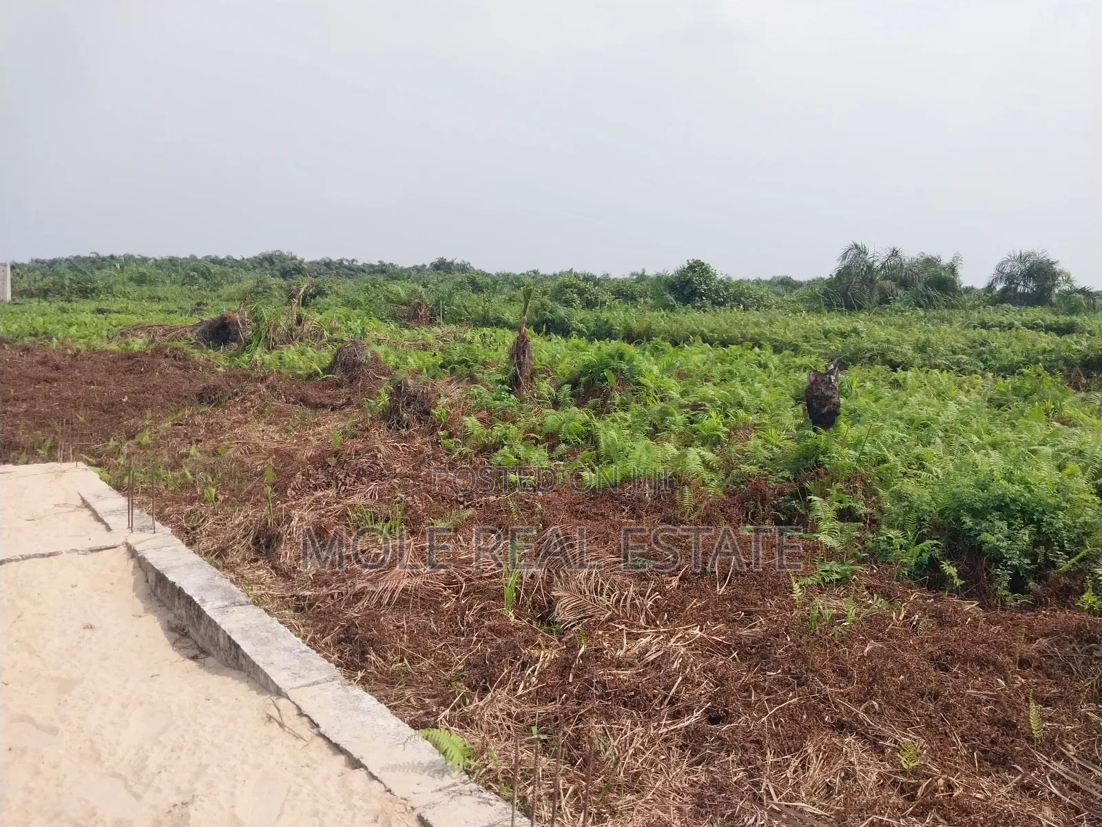 30ft by 120ft Half Plot Ijegun Lasu New Bypass