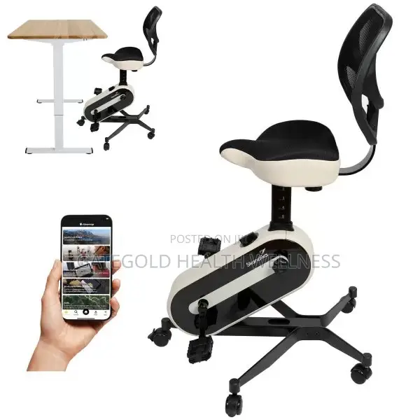 Magnetic Bike HG5806 Office Bike