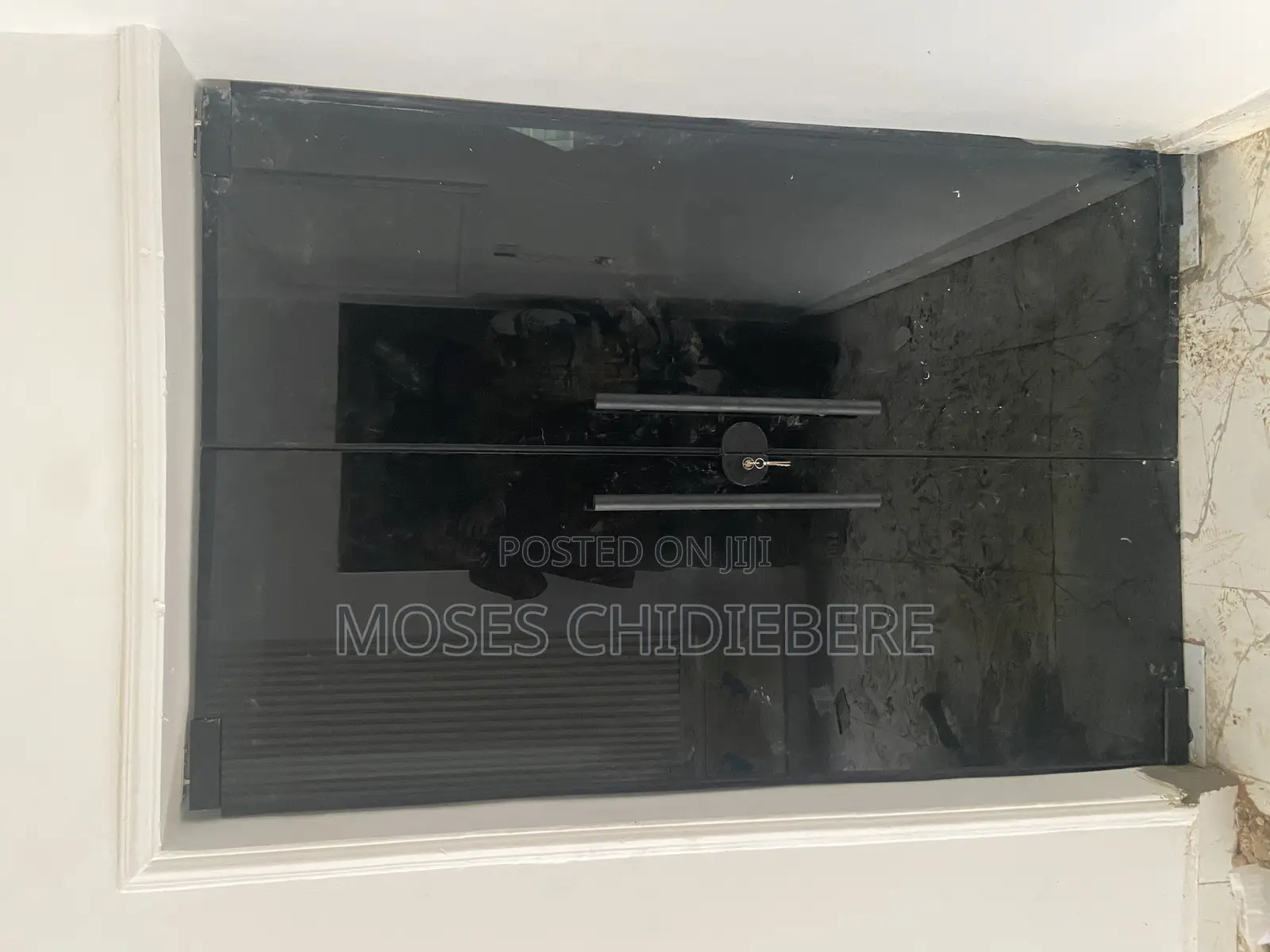 Frameless Swing Door