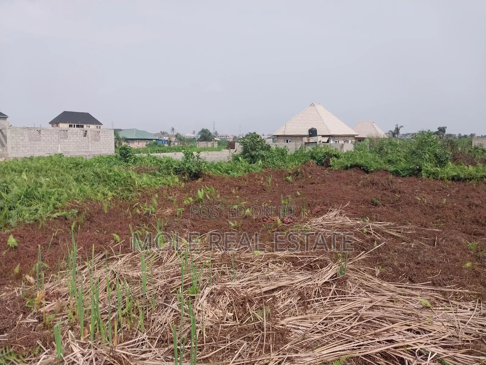 60ft by 120ft Plot Ijegun Festac Freedom From Rent