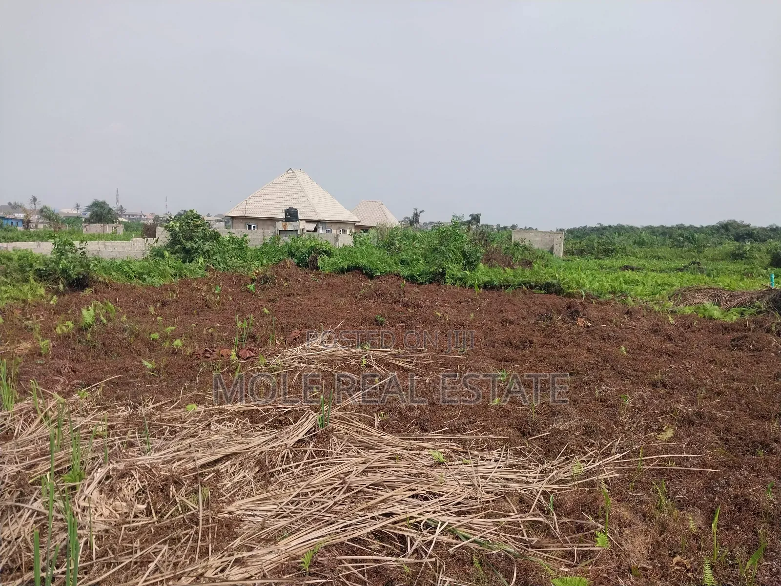 60ft by 120ft Plot Ijegun Festac Freedom From Rent