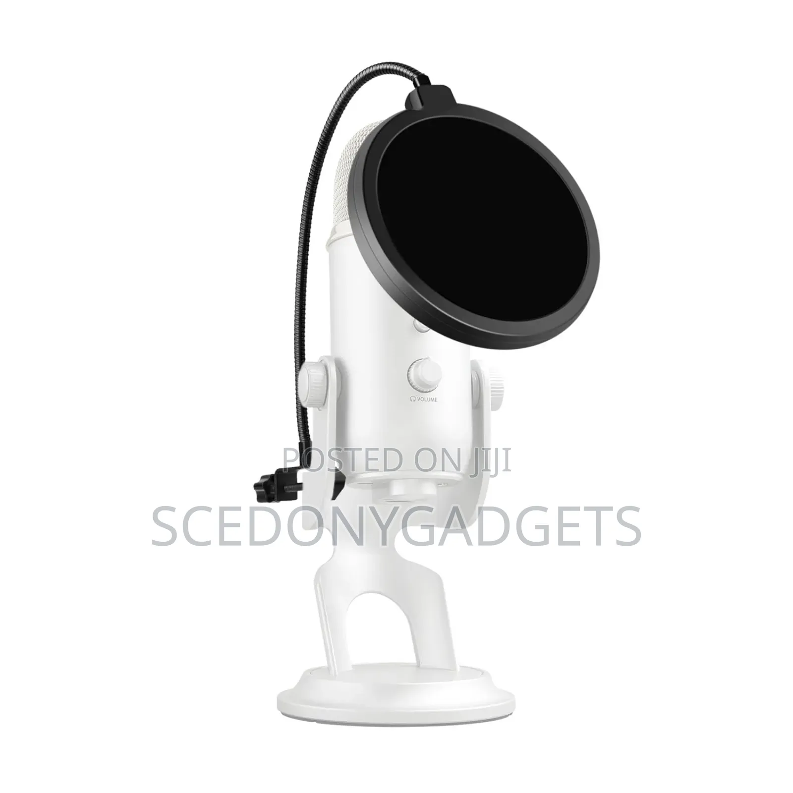 Professional Pop Shield/Filter for Recording