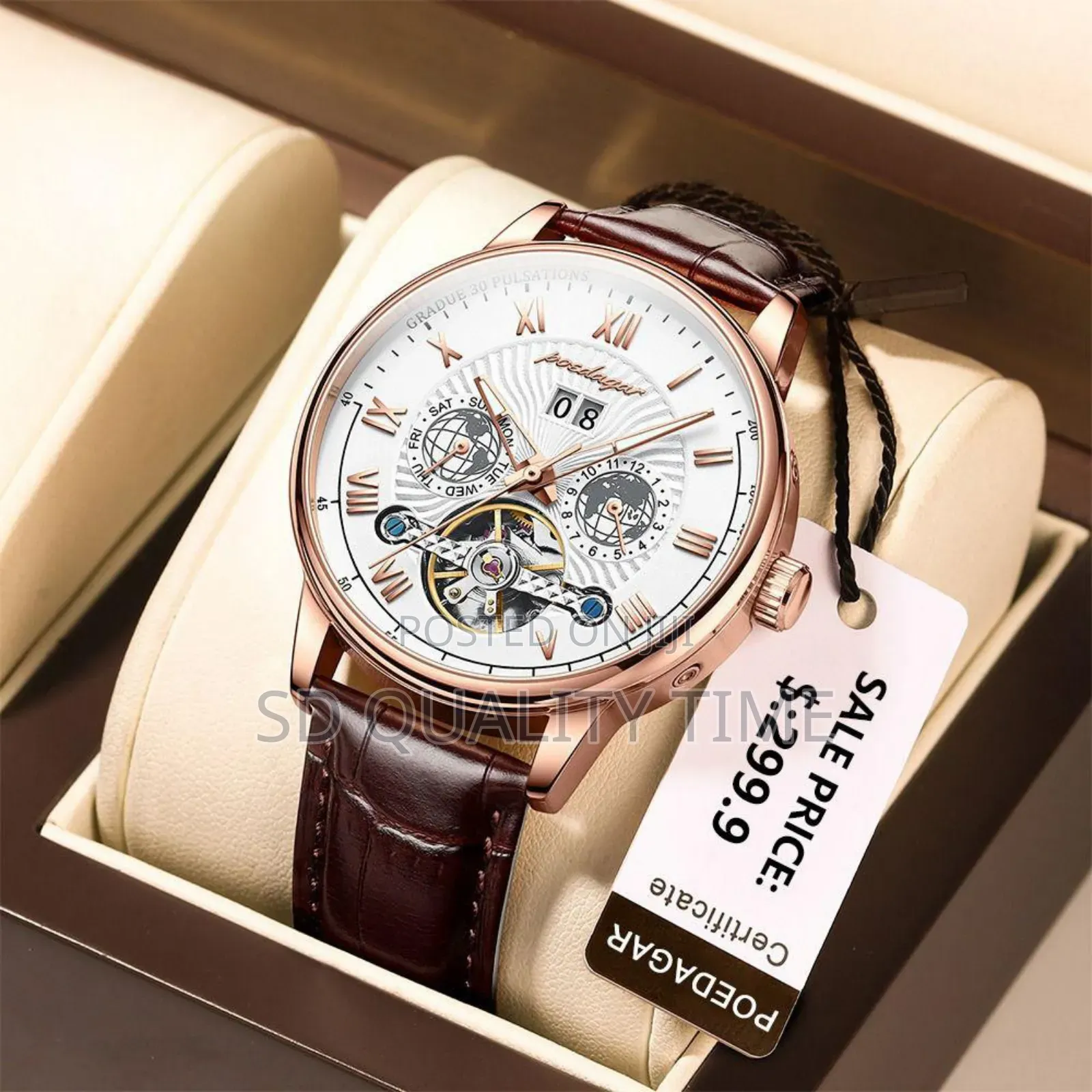 Poedagar Leather Automatic Wrist Watch