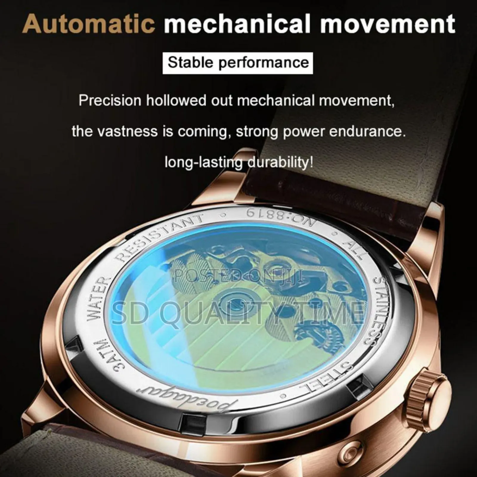 Poedagar Leather Automatic Wrist Watch