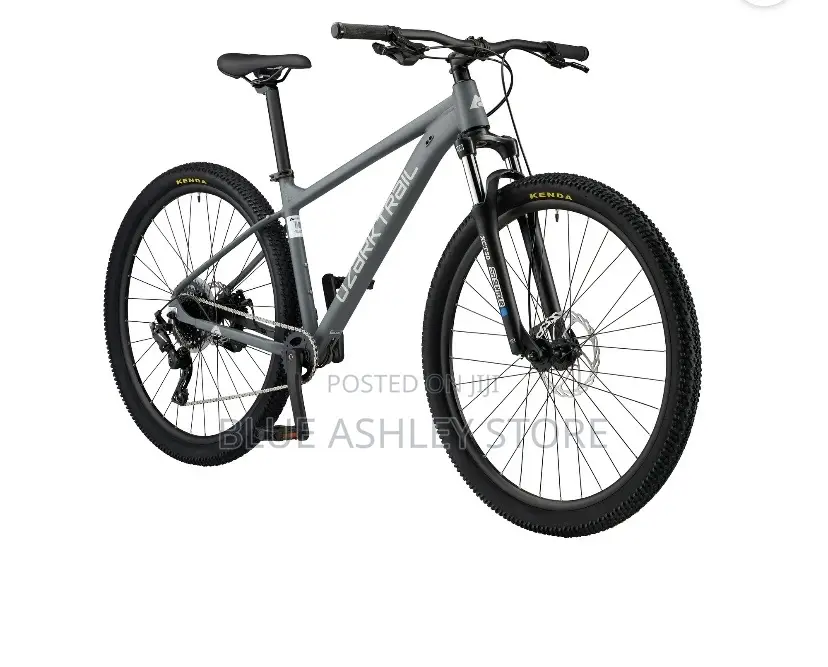 Ozark Trail 29" Ridge Mountain Bike, Large Frame,