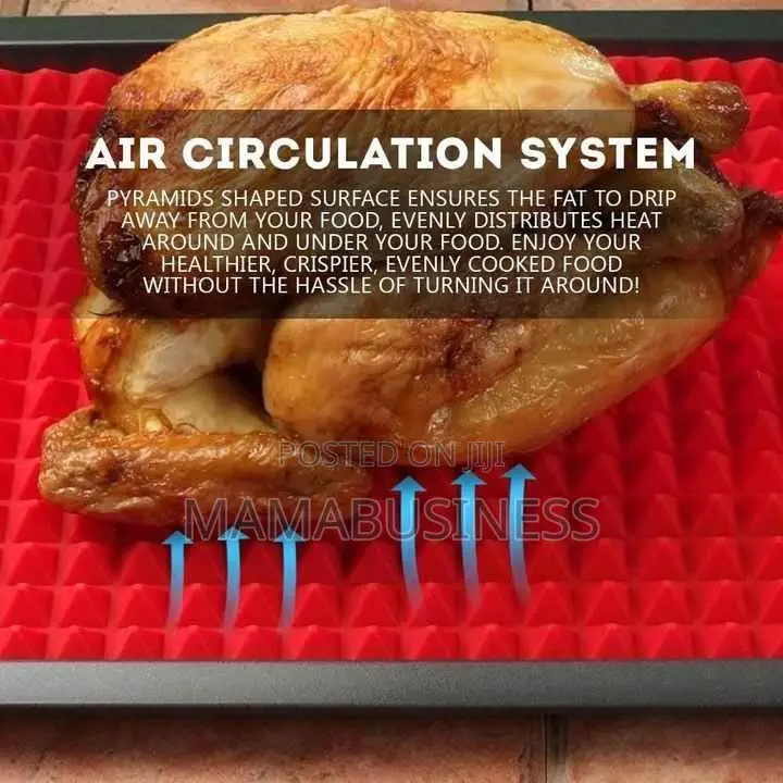 Silicone Non-Stick Baking Mat-Fat Reducing Sheet Grill BBQ