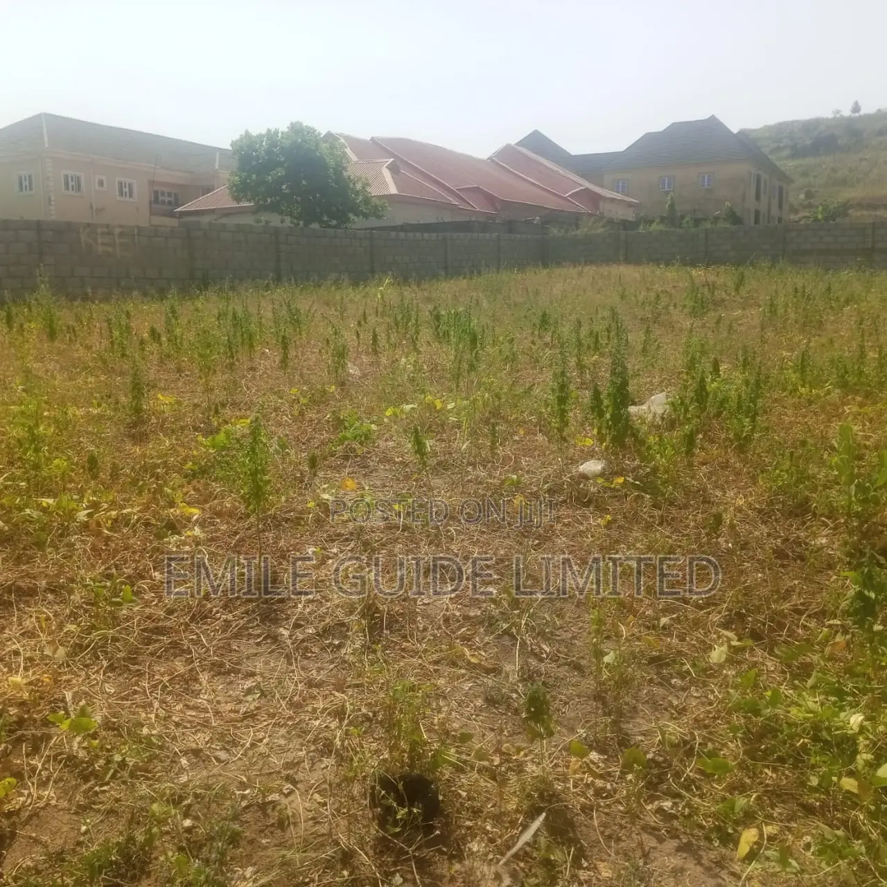 100 Hectares Guzape 2