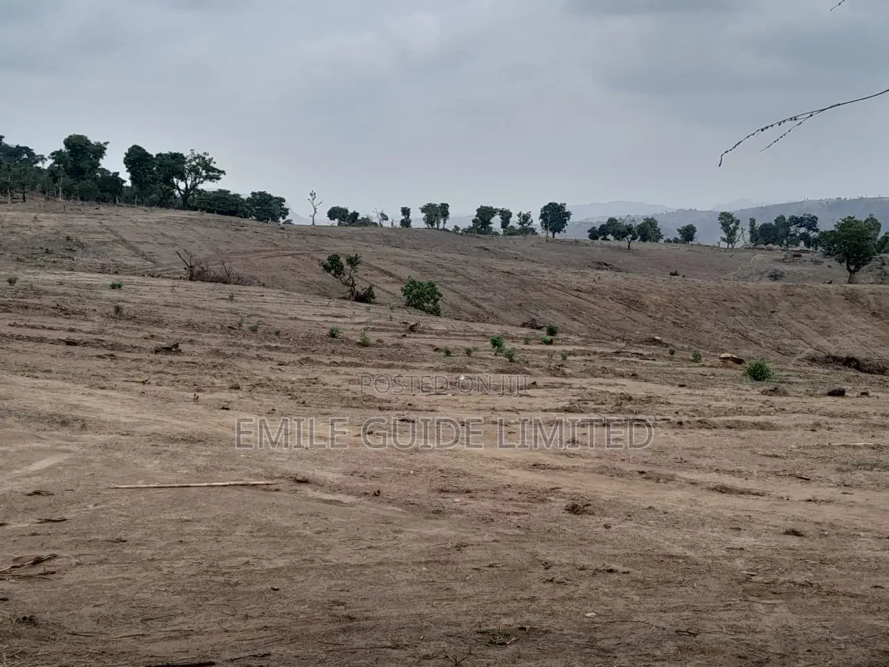 100 Hectares Guzape 2