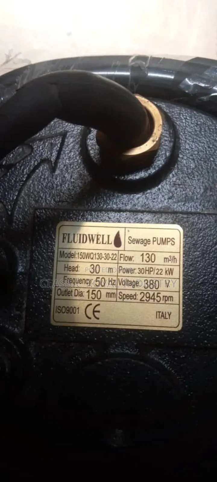 30 HP Sewage Pump 2945 RPM