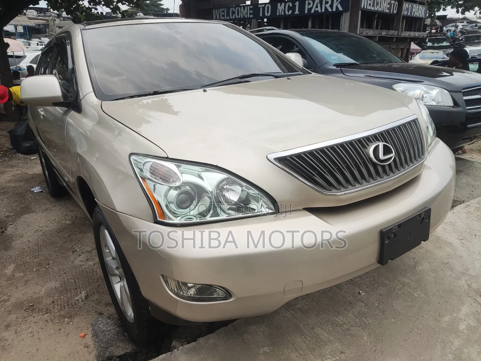 Lexus RX 330 2006 Gold