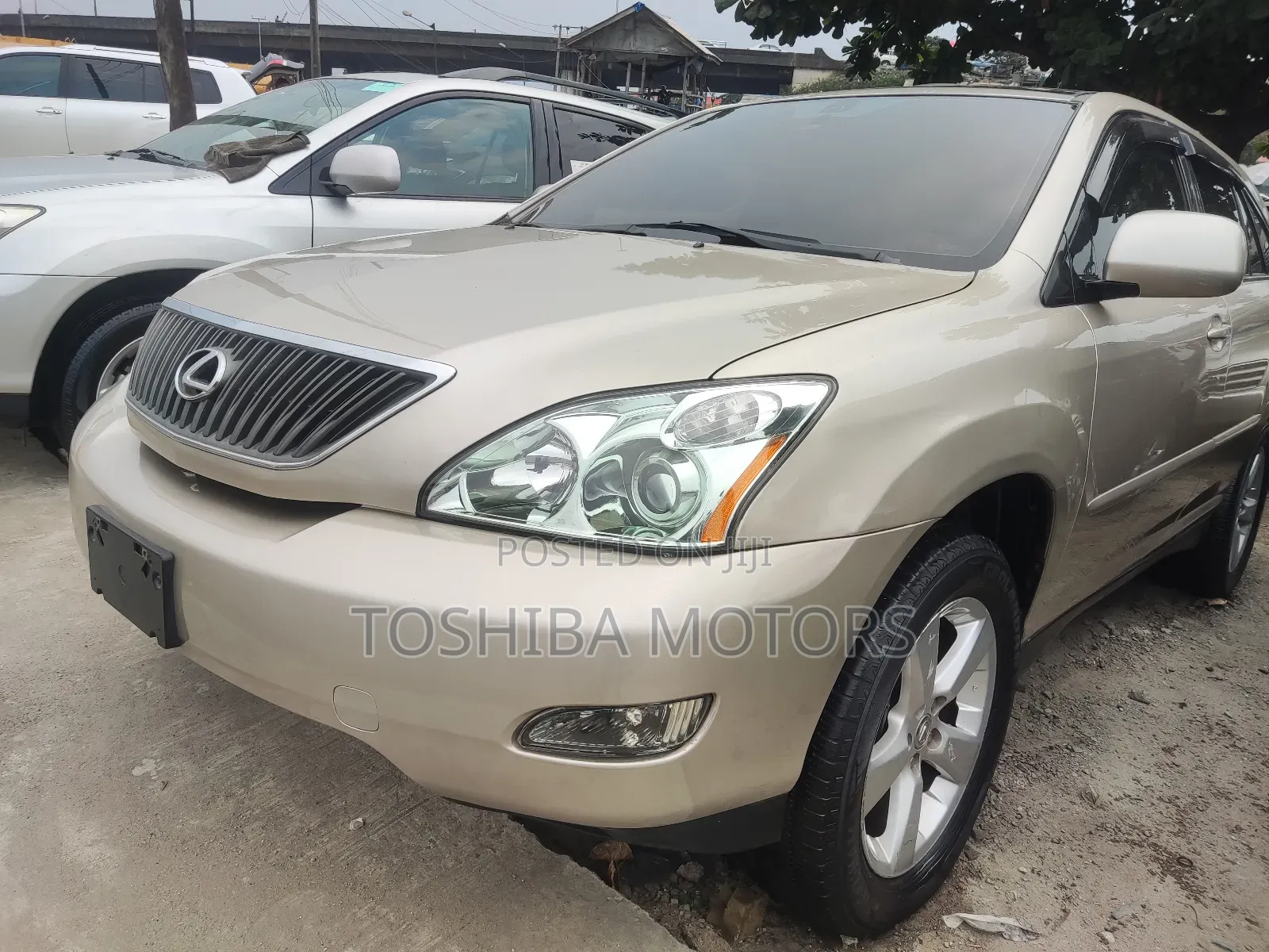 Lexus RX 330 2006 Gold