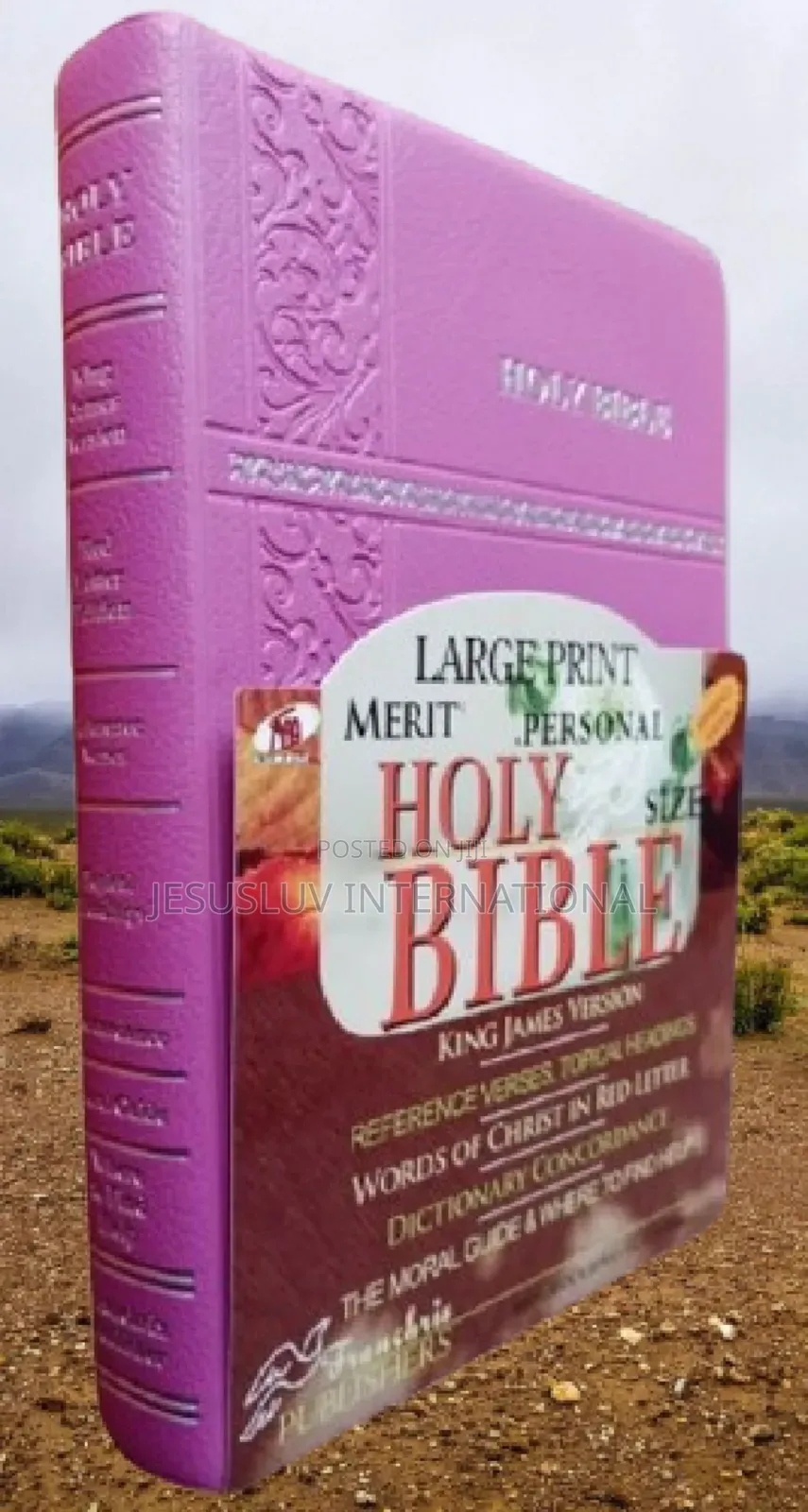 KJV Large Print Merit Reference Edition Bible Pink Leather