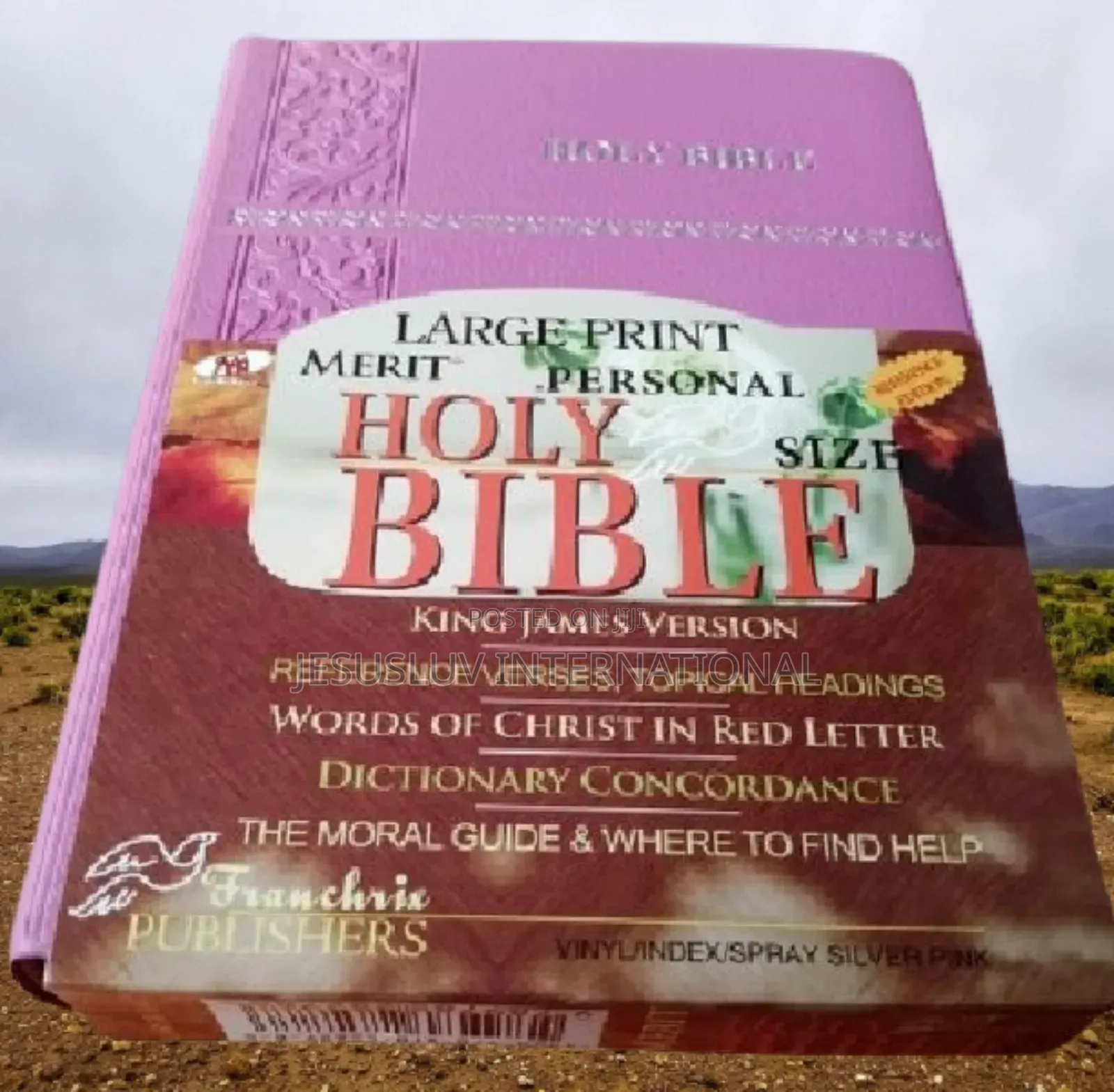 KJV Large Print Merit Reference Edition Bible Pink Leather