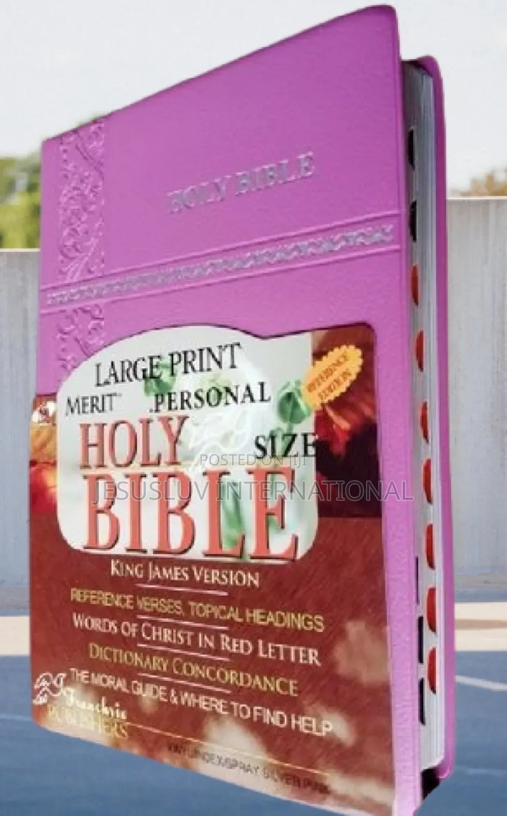 KJV Large Print Merit Reference Edition Bible Pink Leather