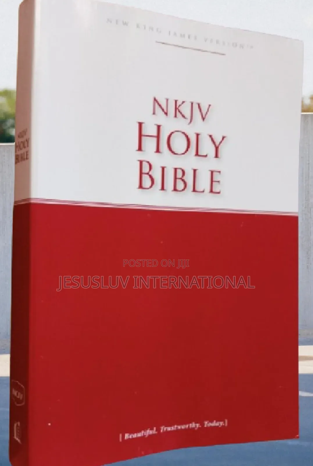 New King James Version Holy Bible With 30-Day Reading Plan