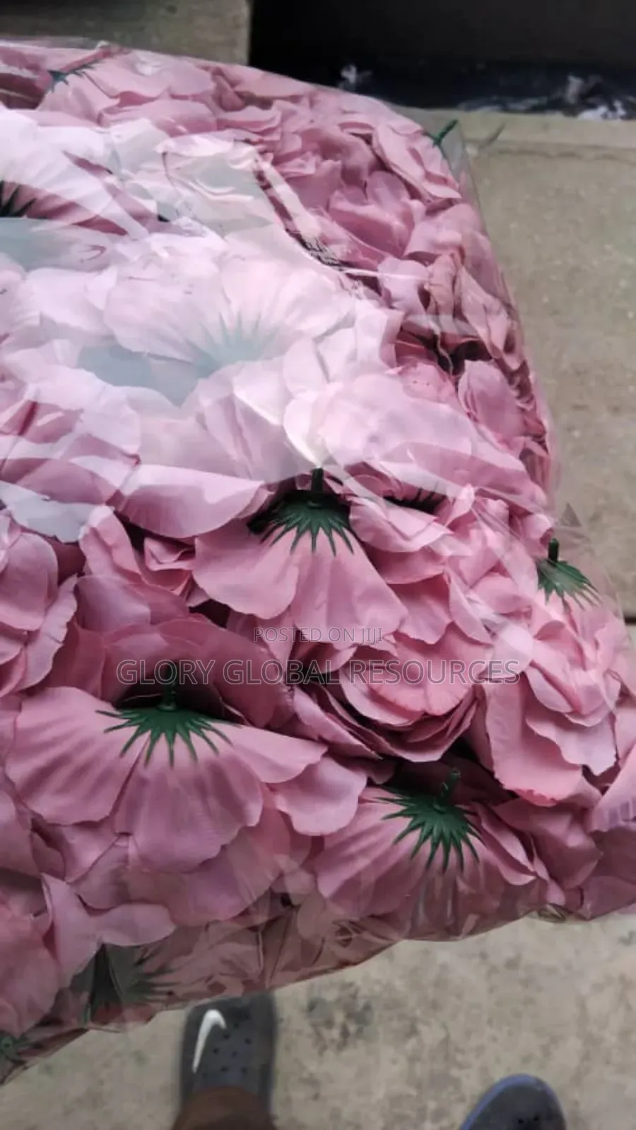 Beautiful Pack of Rose Flowers