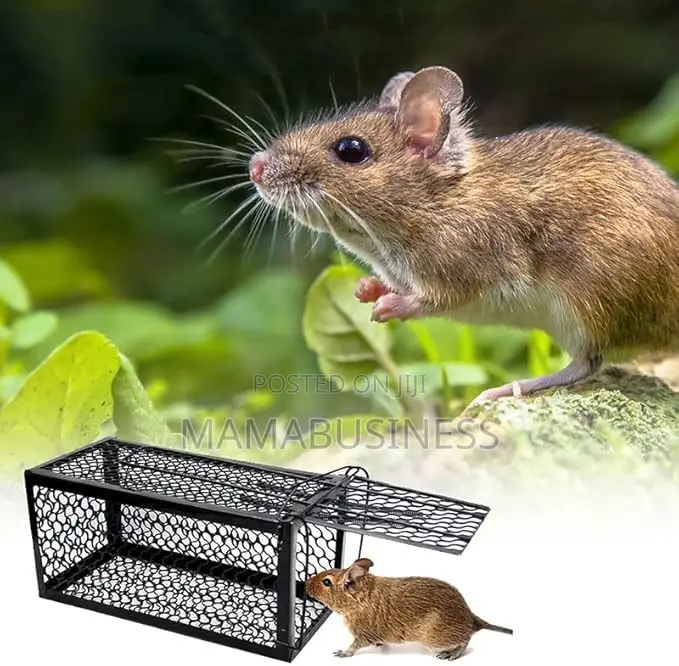 Humane Rodent Rat Trap Cage Catcher