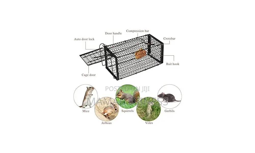 Humane Rodent Rat Trap Cage Catcher