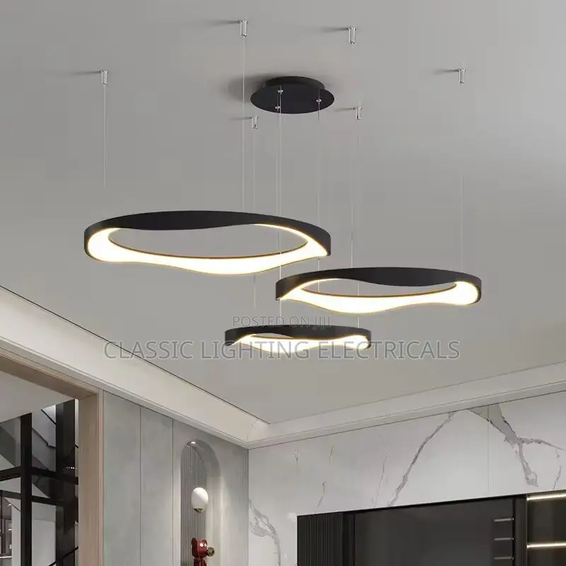 Modern Led Chandelier Nordic Circular Black White Led Pendan