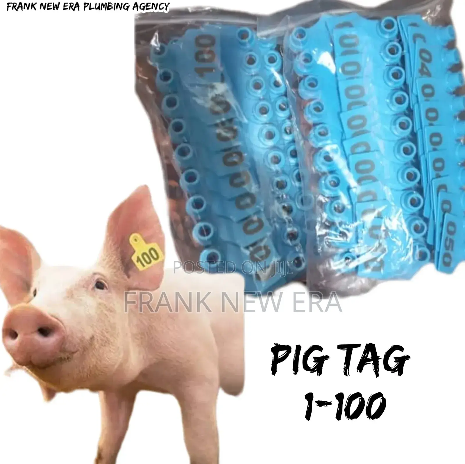 Ear Tag for Pigs