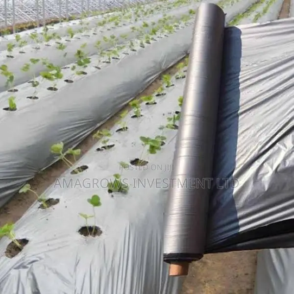 Amatropics Mulch Film 1.5m Width 300m Length