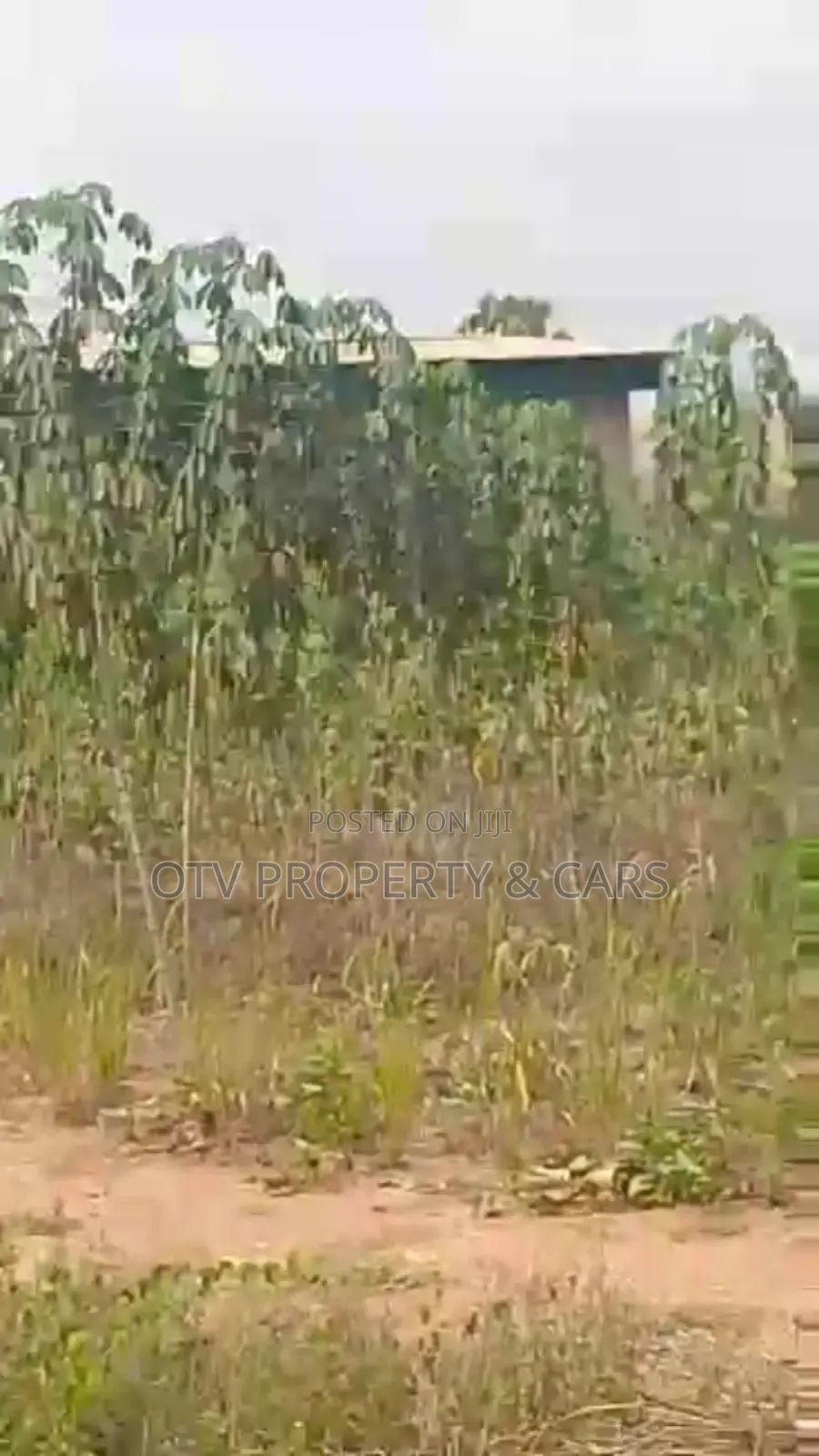 (22.876 Acres )9.281 Hectare of Farmland for Sale
