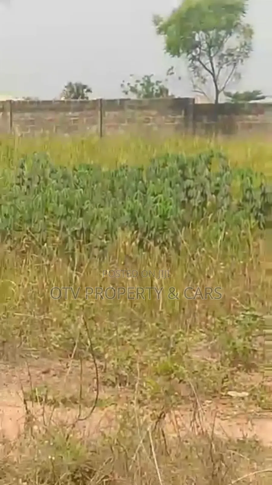 (22.876 Acres )9.281 Hectare of Farmland for Sale